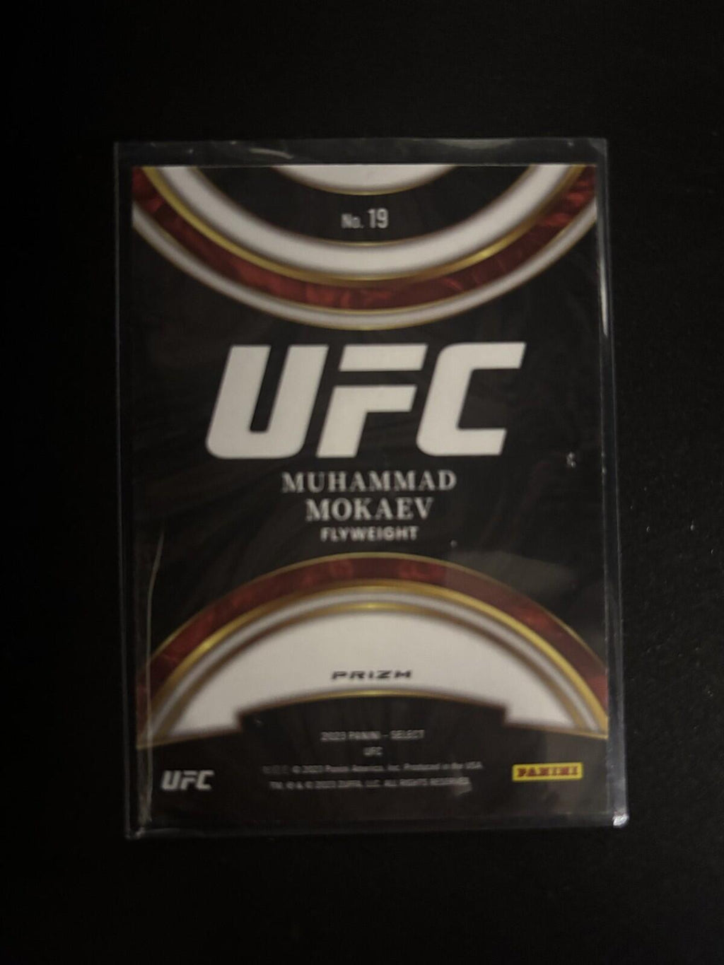 Muhammad Mokaev Global Icons Silver Prizms Panini Select UFC - 19 NM