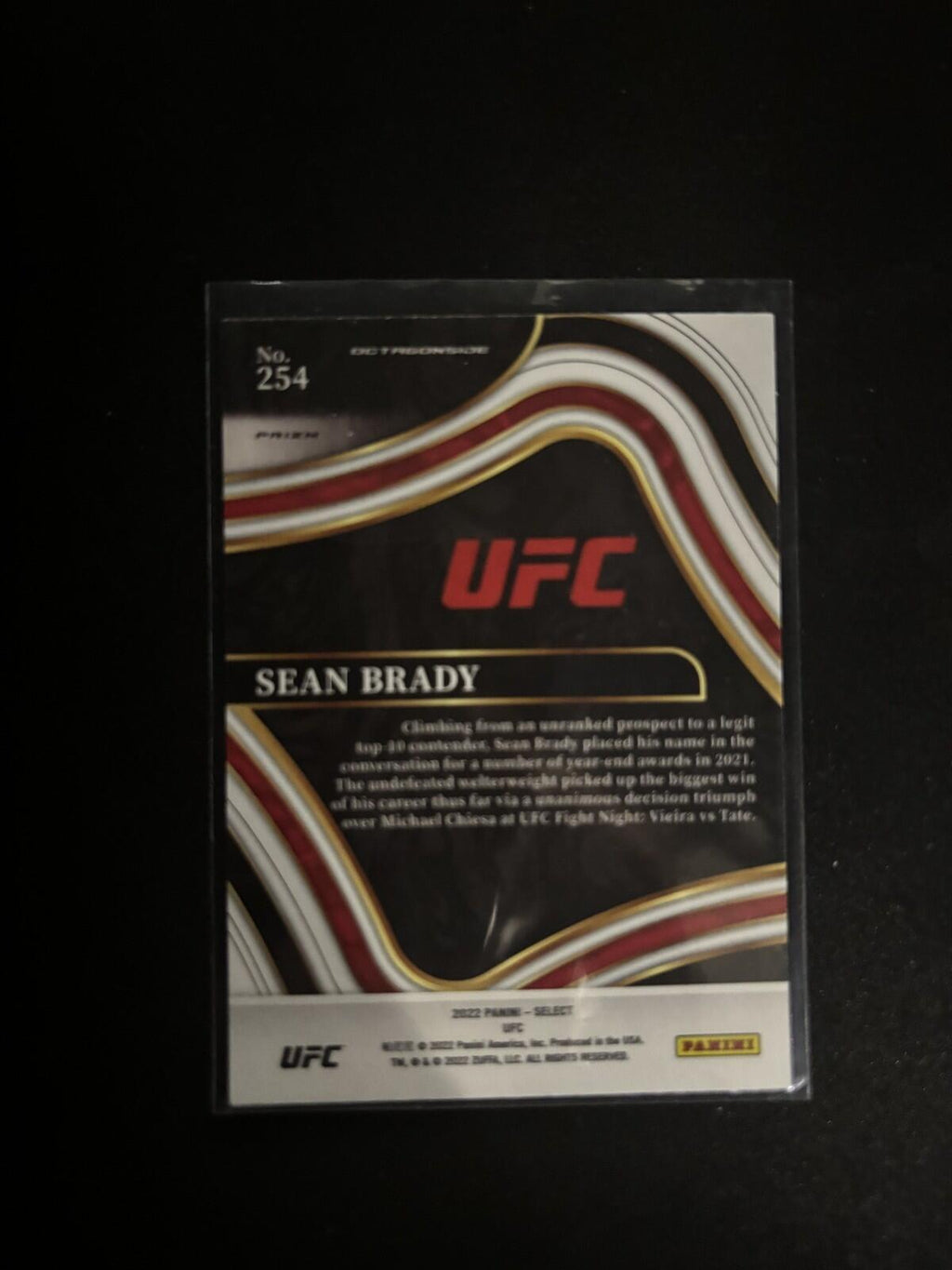 Sean Brady Blue Panini Select UFC - Blue 254 NM