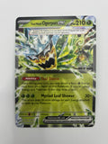 Pokemon Teal Mask Ogerpon ex 2024 World Championships Evan Pavelski MINT Condition