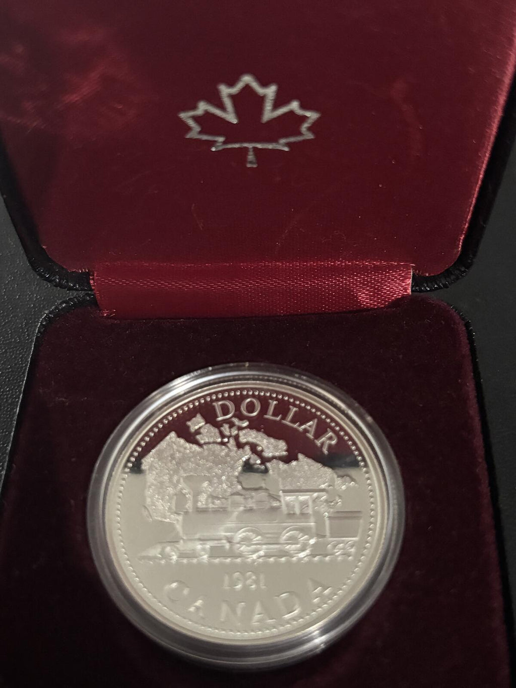 1981 Canada 50% Silver One Dollar Coin in Presentation Case