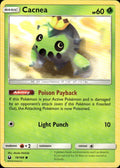 Cacnea Common SM - Celestial Storm 19/168 NM