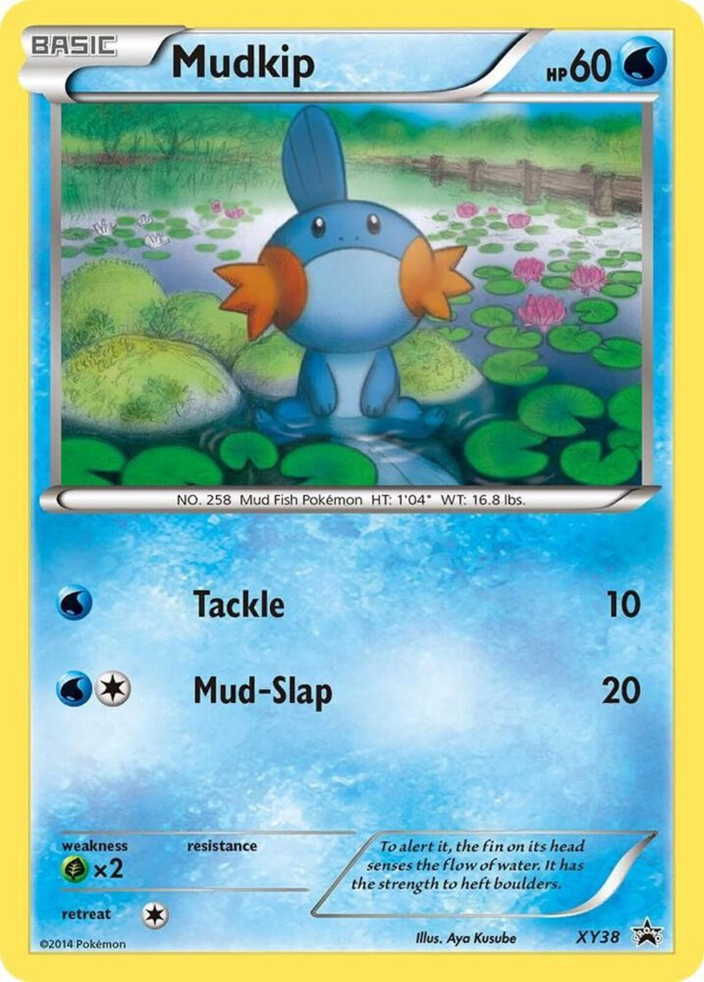 Mudkip Holo Promo XY Promos XY38 NM