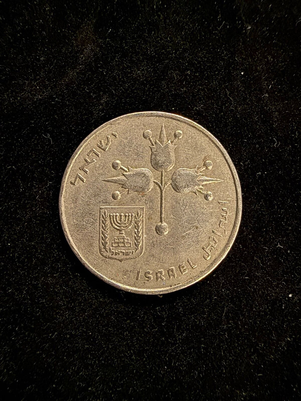 Israeli 1 Lira Coin with National Emblem