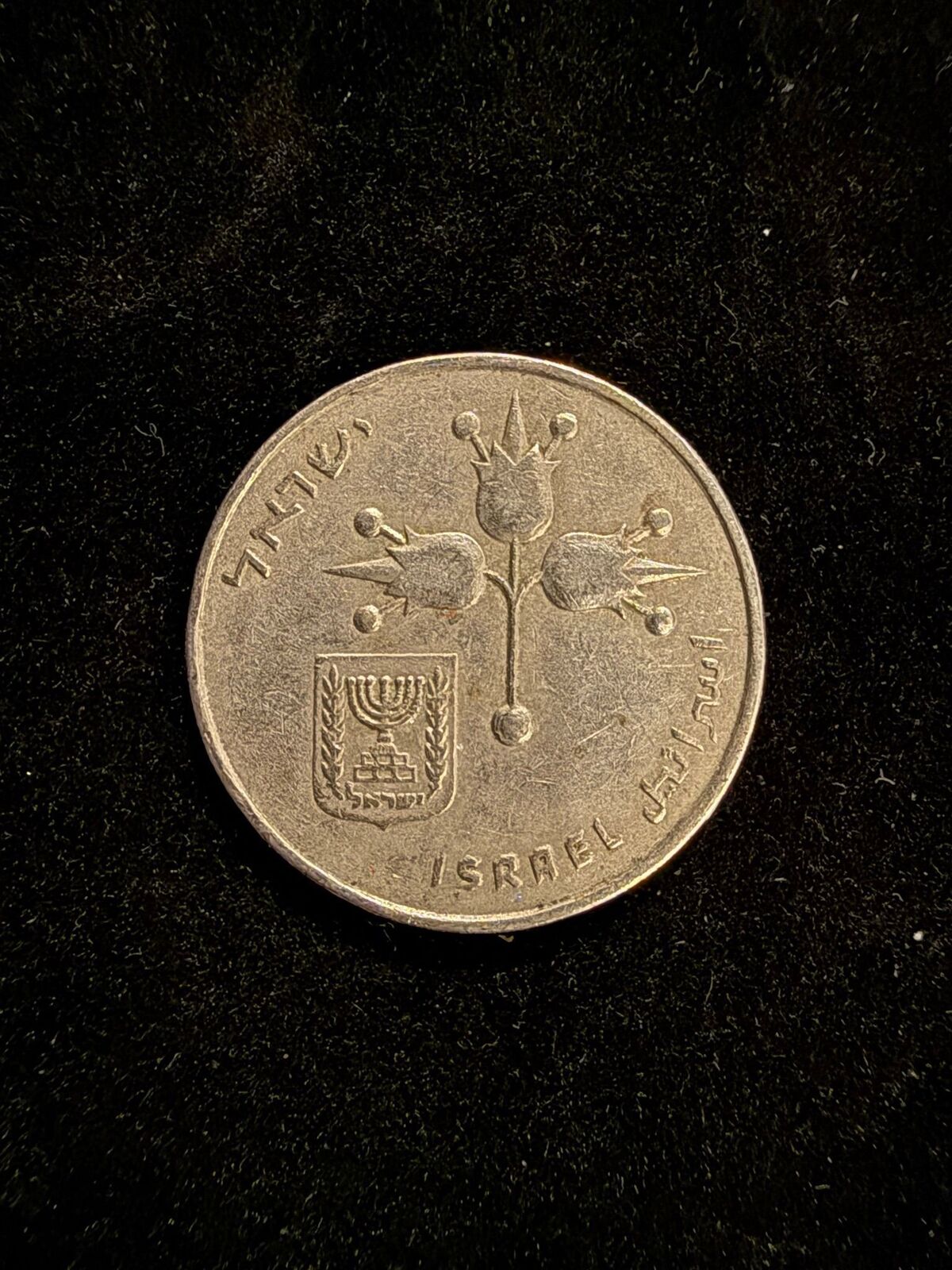 Israeli 1 Lira Coin with National Emblem
