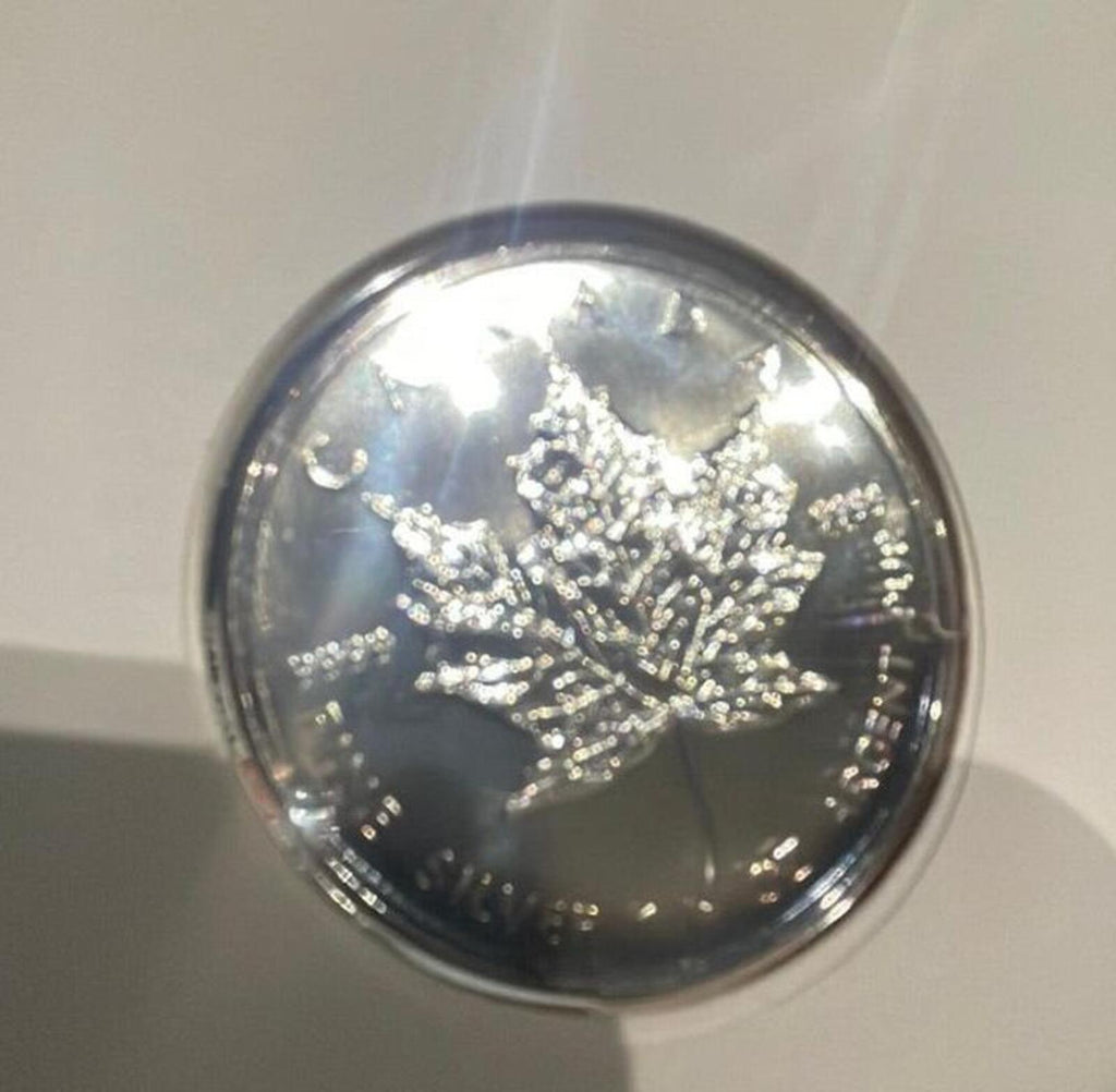 Commemorative 1996 Royal Canadian Silver Maple 5 Dollar Coin Cover ft. QE II