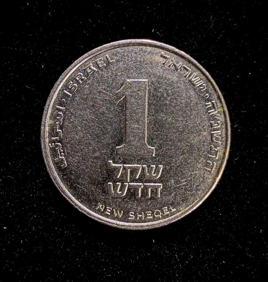Israel 1 New Sheqel Coin